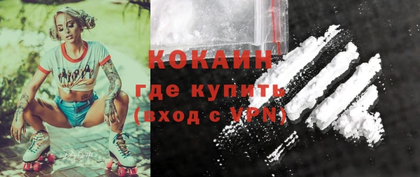 стафф Арсеньев
