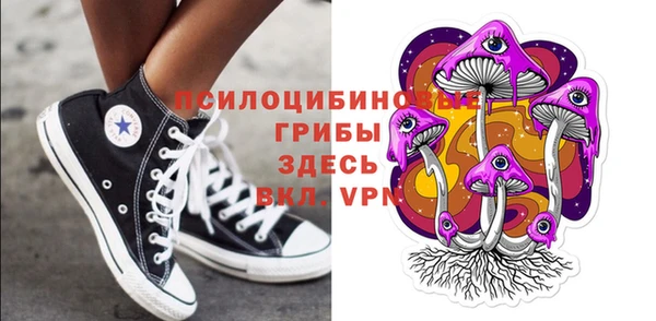 стафф Арсеньев
